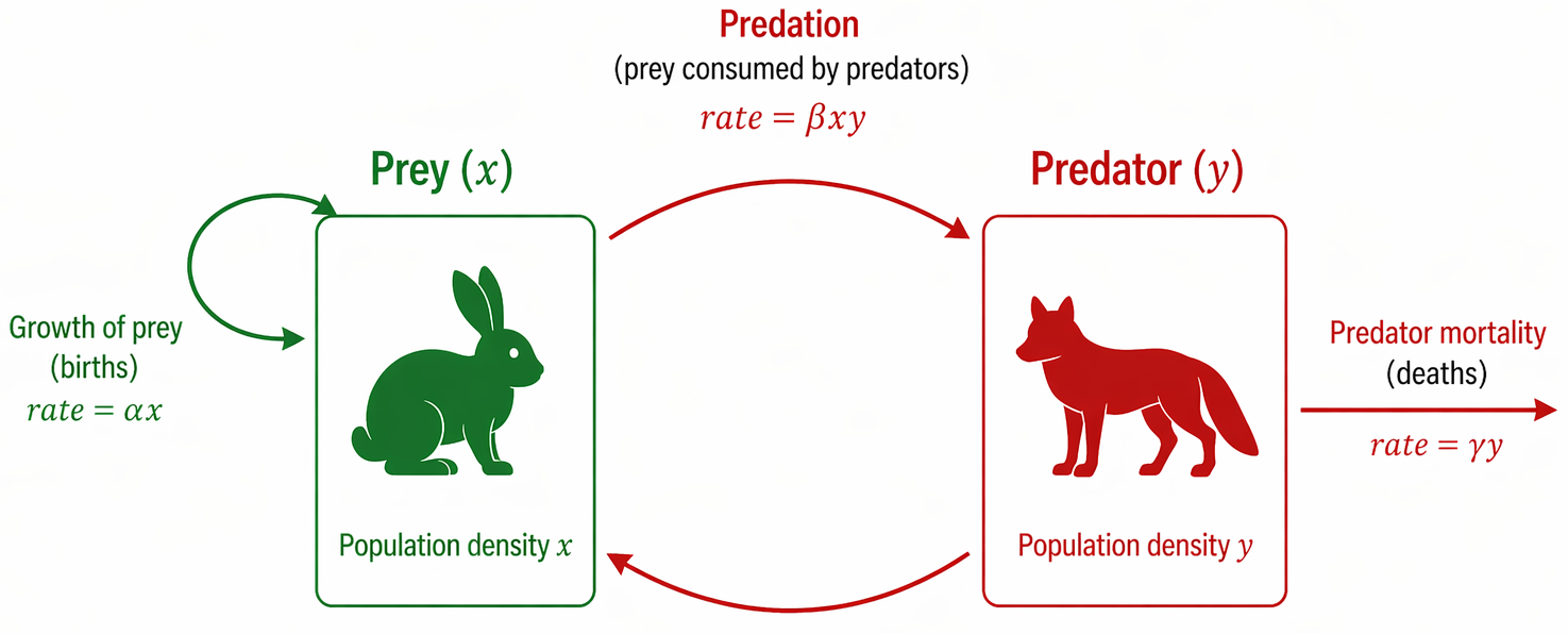 Population dynamics scheme